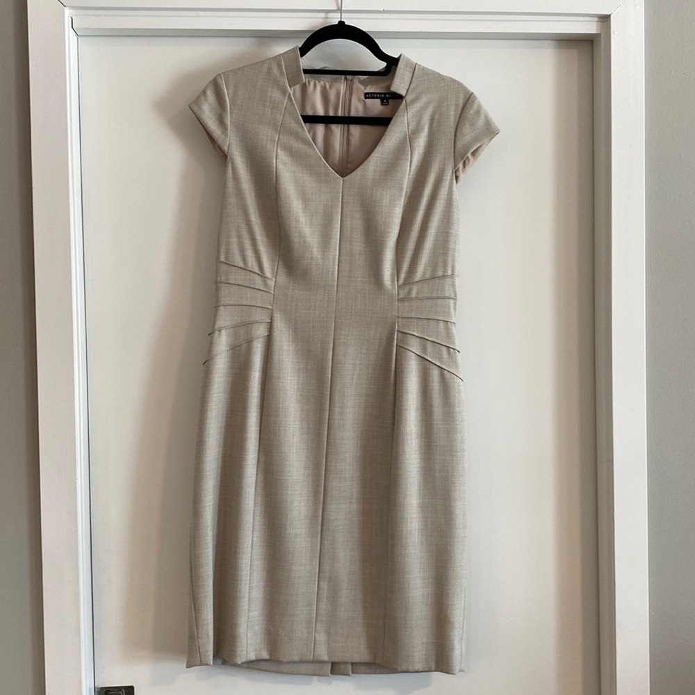 Size 8 Antonio Melani Dress